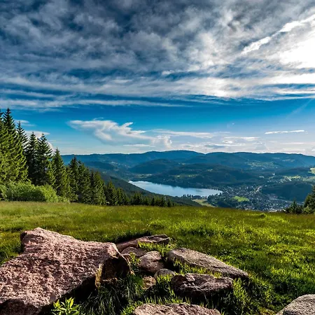 Schwarzwald Zartenbach 公寓 欣特察尔滕
