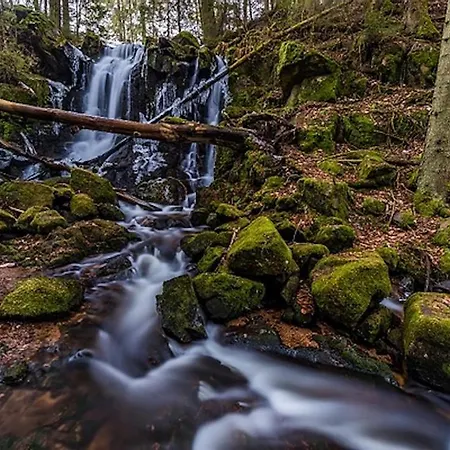 Apartamento Zartenbach One