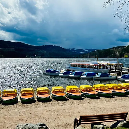 Schwarzwald Zartenbach 欣特察尔滕