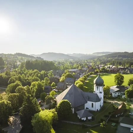 Schwarzwald Zartenbach 公寓 *