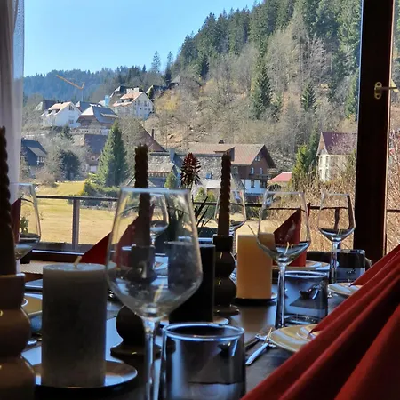 公寓 Schwarzwald Zartenbach *