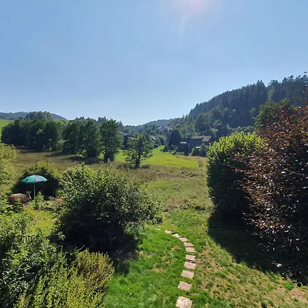Schwarzwald Zartenbach Appartamento *