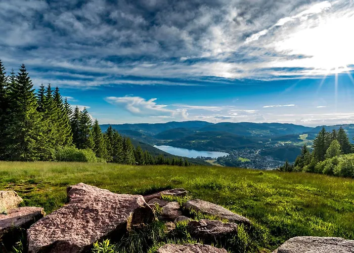 Zartenbach One Lejlighed Hinterzarten