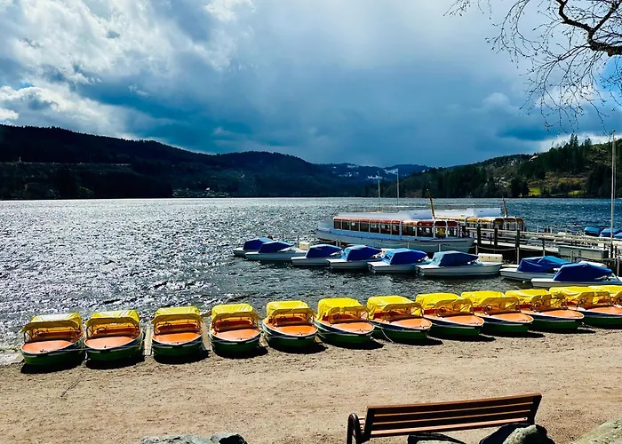 Zartenbach One Hinterzarten